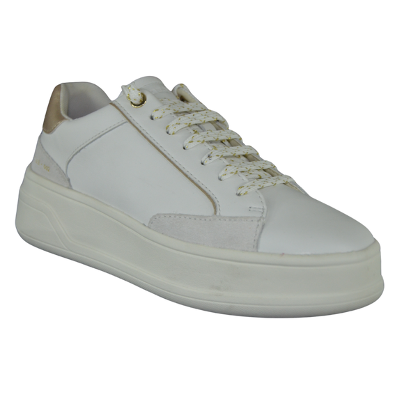 Geox Donna New Spericaart. D46WVE - Sneakers- donna Nap+sca.  casual Sport - colore White